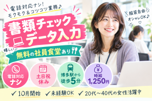 データ入力／書類チェック／電話対応なし